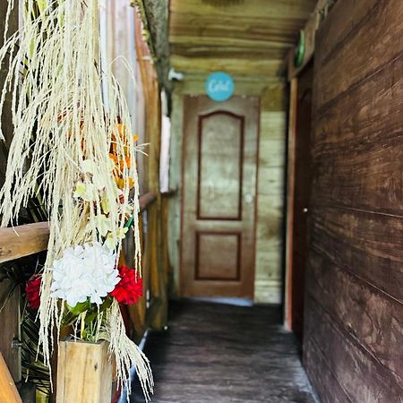 Palmario Hostal Guachaca Dış mekan fotoğraf