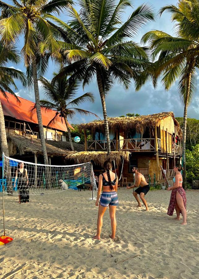 Palmario Hostal Guachaca Dış mekan fotoğraf
