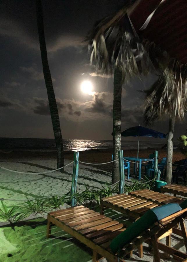 Palmario Hostal Guachaca Dış mekan fotoğraf