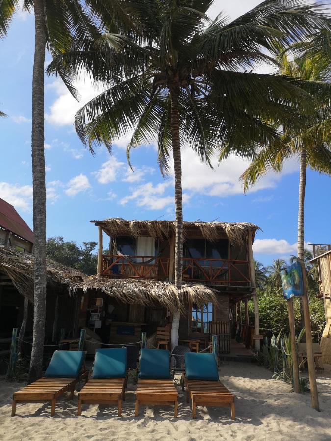 Palmario Hostal Guachaca Dış mekan fotoğraf