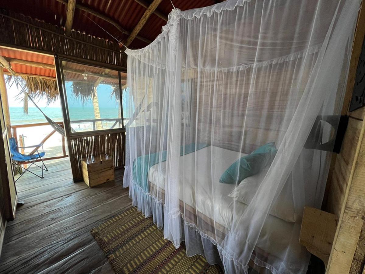 Palmario Hostal Guachaca Dış mekan fotoğraf