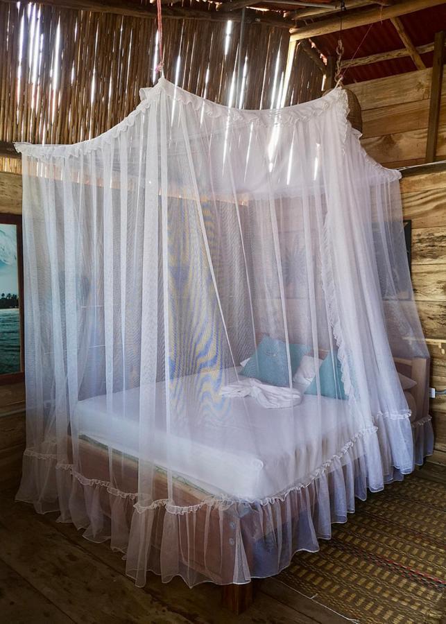 Palmario Hostal Guachaca Dış mekan fotoğraf