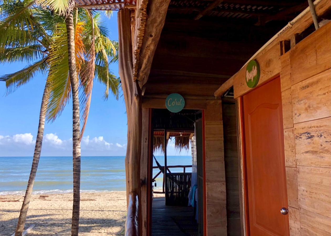 Palmario Hostal Guachaca Dış mekan fotoğraf