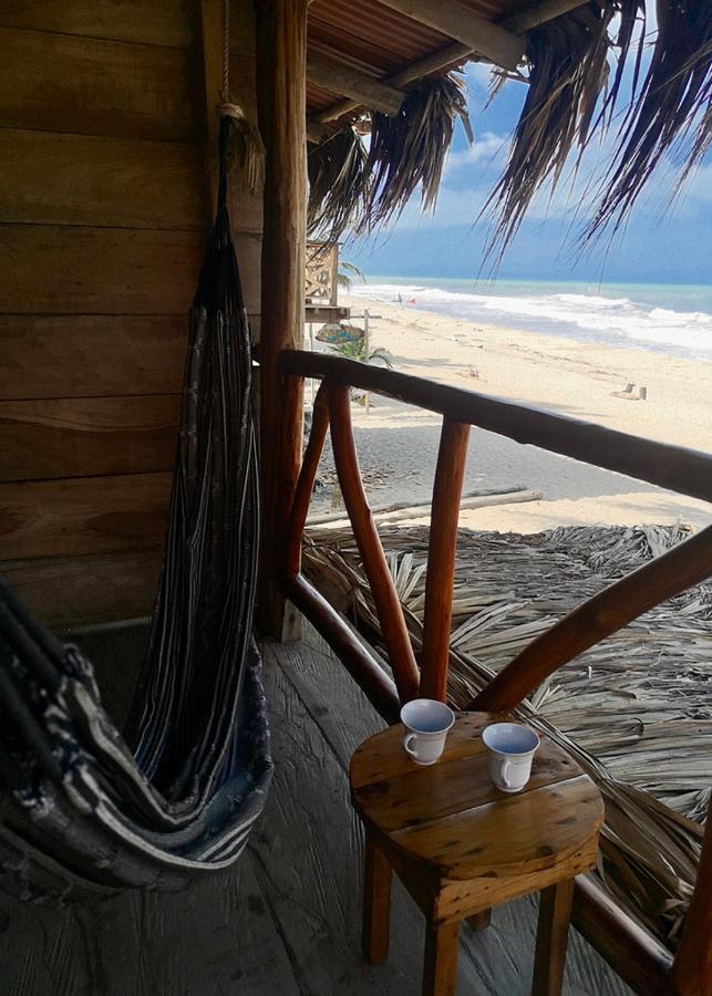 Palmario Hostal Guachaca Dış mekan fotoğraf