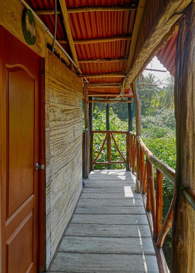 Palmario Hostal Guachaca Dış mekan fotoğraf