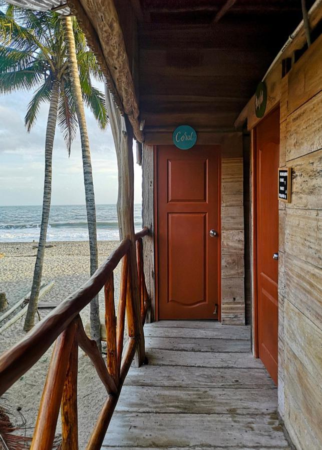 Palmario Hostal Guachaca Dış mekan fotoğraf