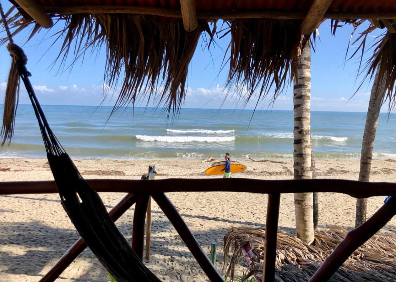 Palmario Hostal Guachaca Dış mekan fotoğraf
