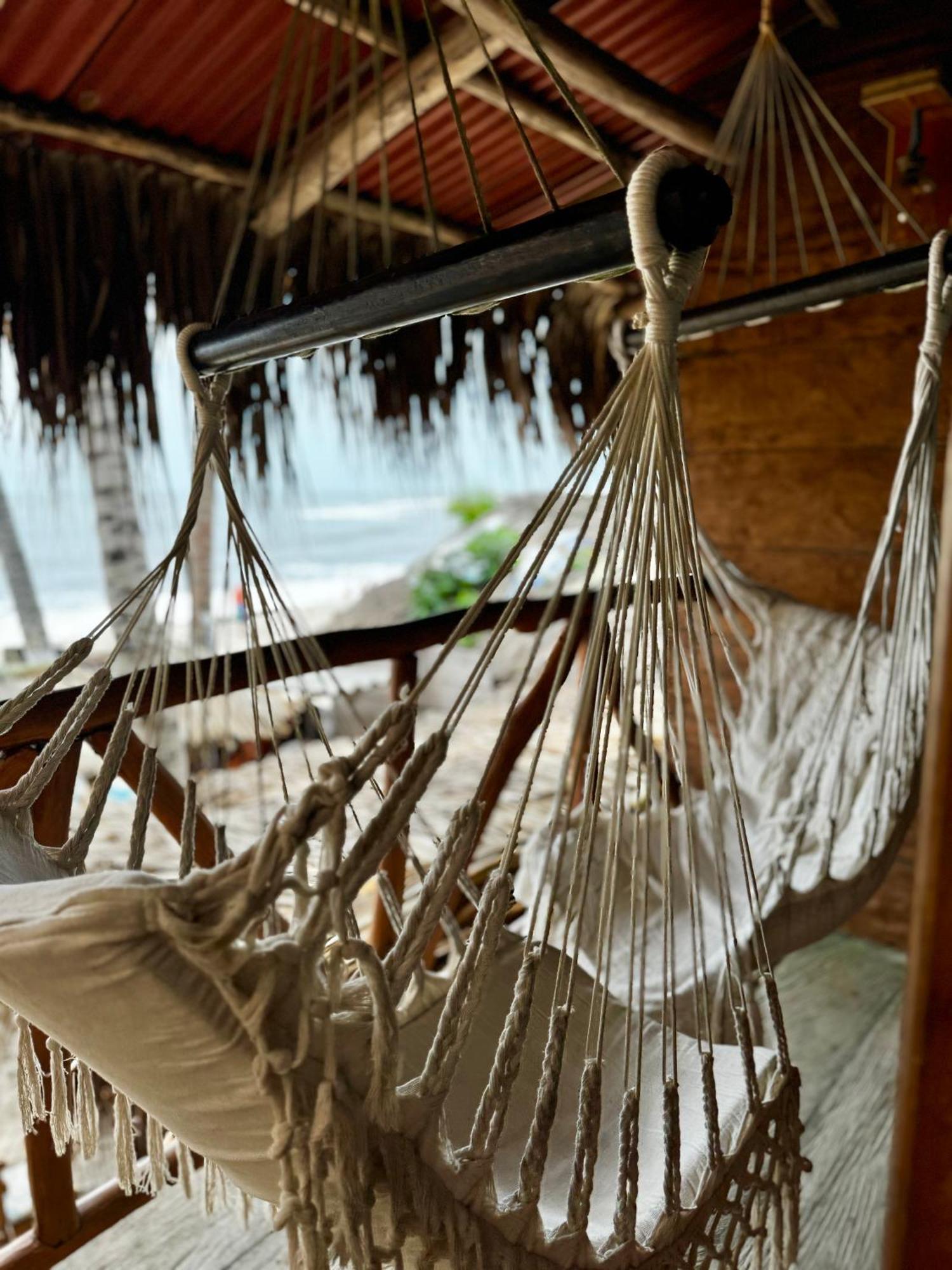 Palmario Hostal Guachaca Dış mekan fotoğraf