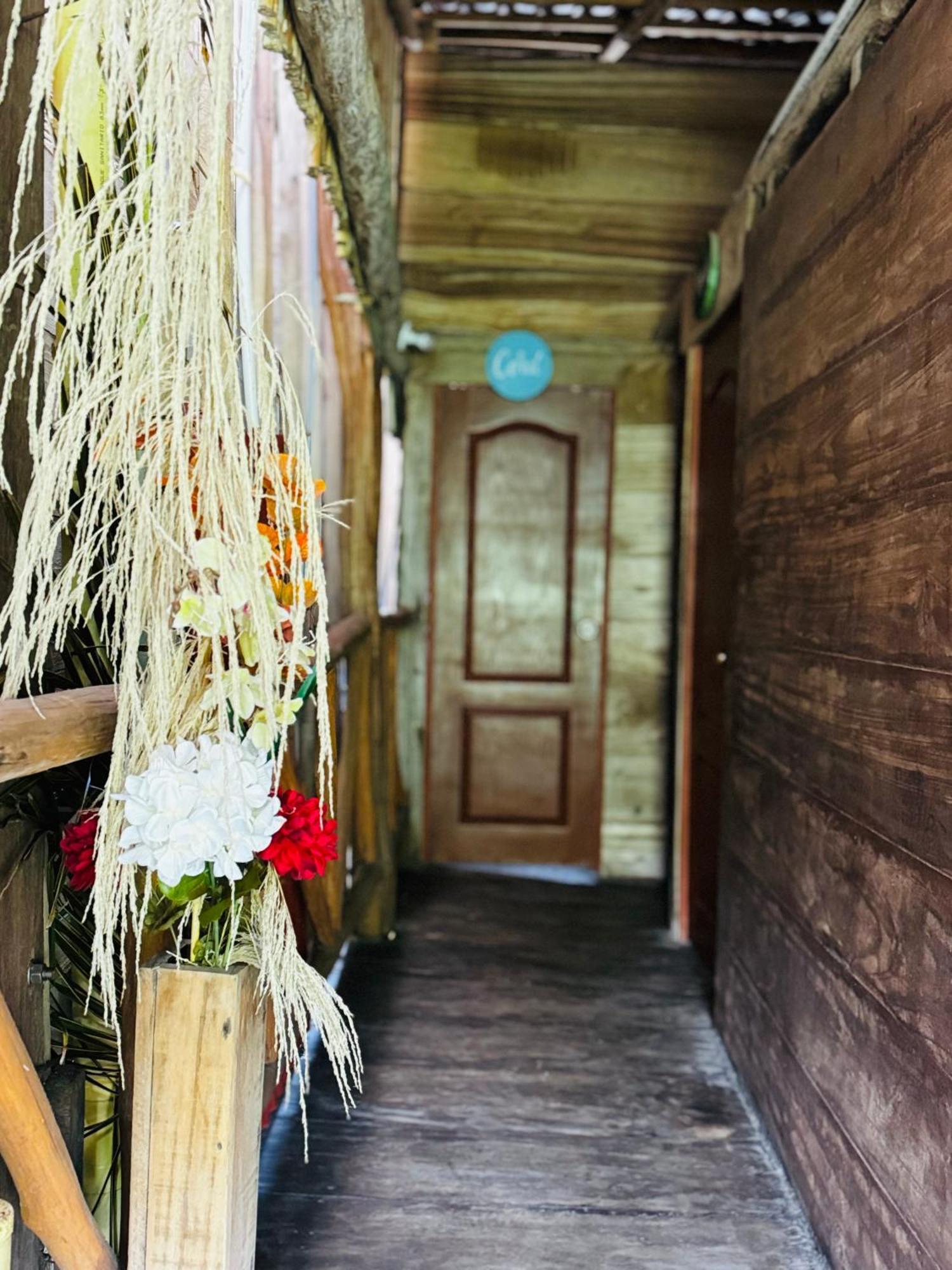 Palmario Hostal Guachaca Dış mekan fotoğraf